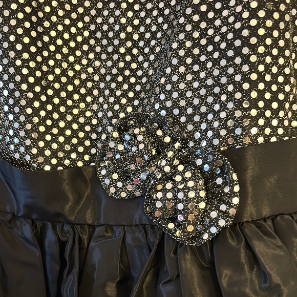 Silver and Black Fit and Flare Sleeveless Dress for Weddings - Picture 4 of 4